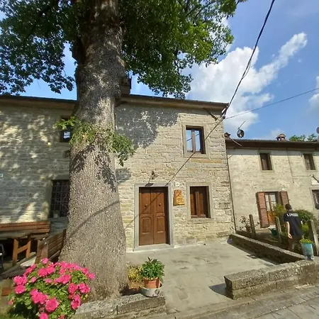 Casina La Quercia 公寓