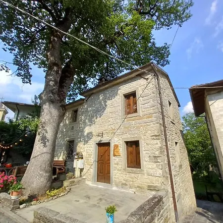 公寓 Casina La Quercia 圣索菲亚